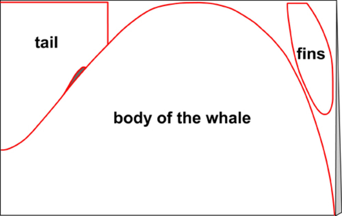 Whale craft diagram