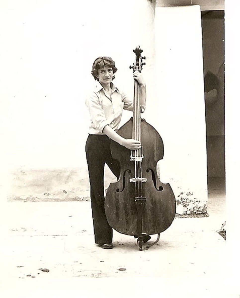 The double bass, the precursor to the bass guitar