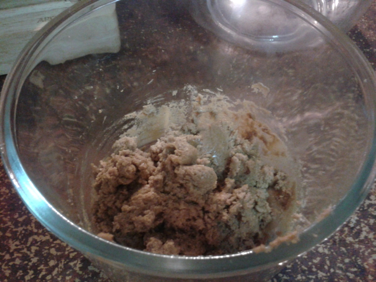 Your dough should be well-combined and slightly crumbly, easy to roll into balls.