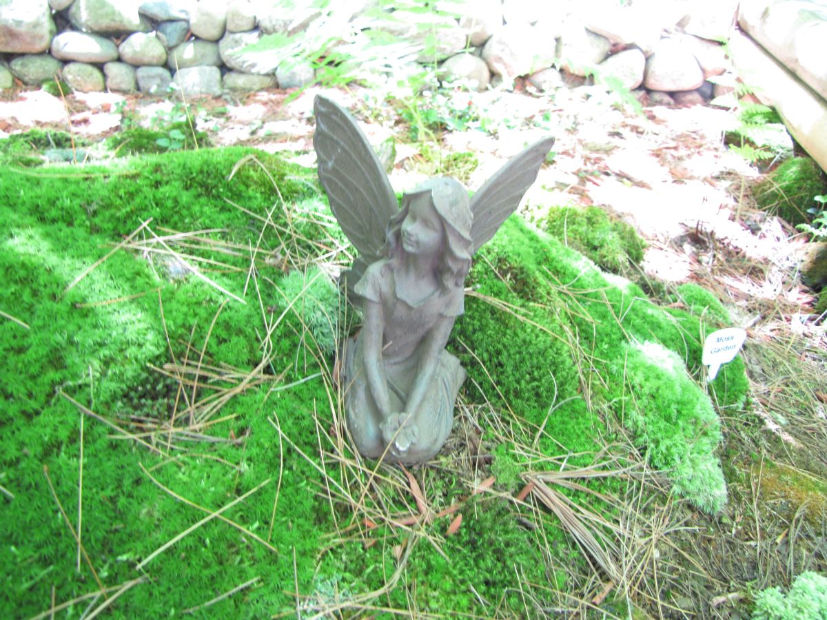 This delightful figure lives in my garden. She's partial to mossy areas. 