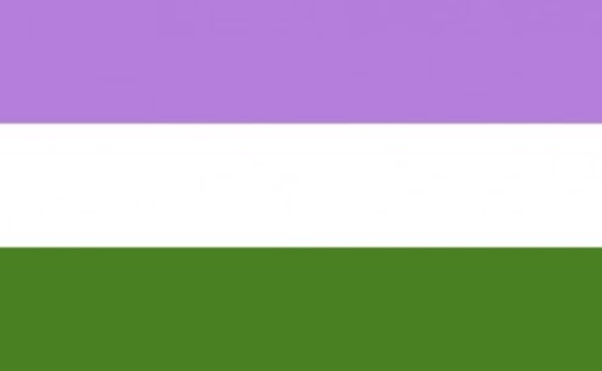 Genderqueer flag