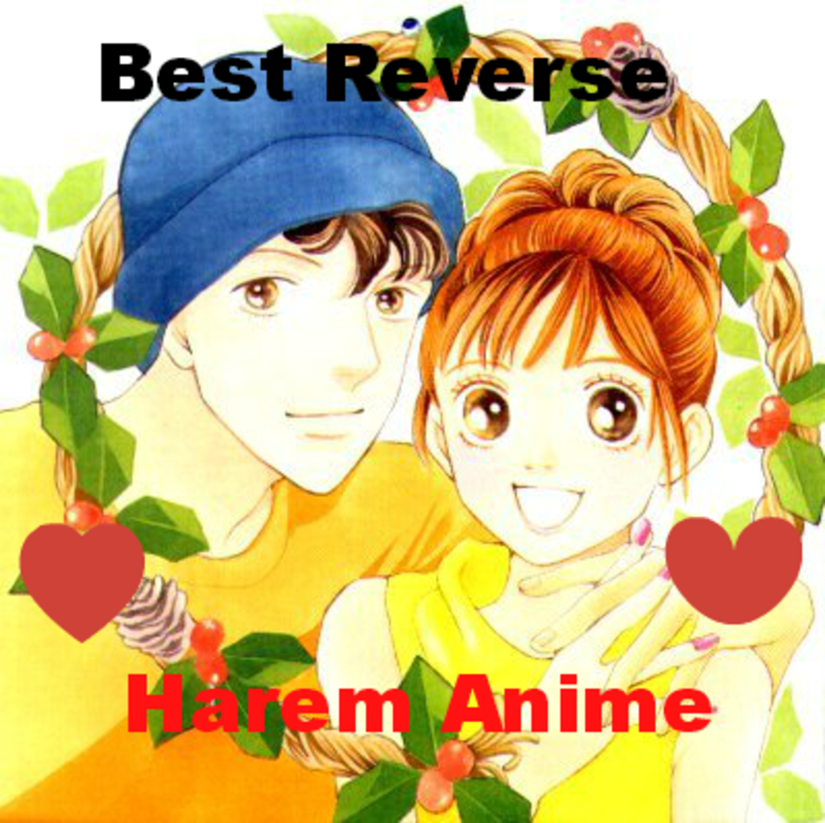 Reverse Harem Anime Series