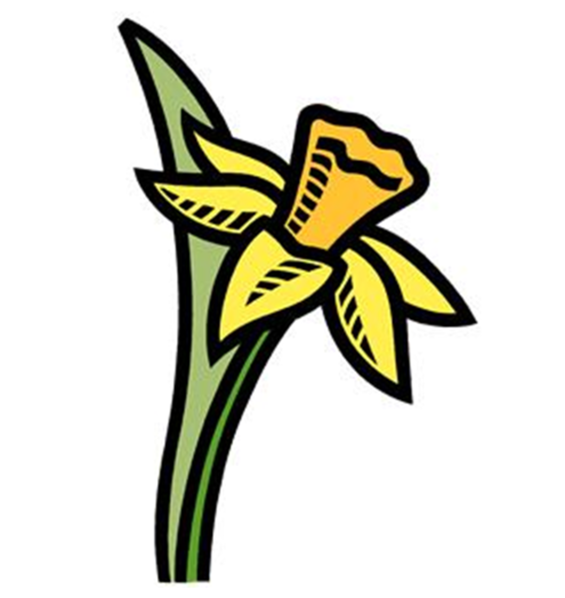 Daffodil with Orange Center