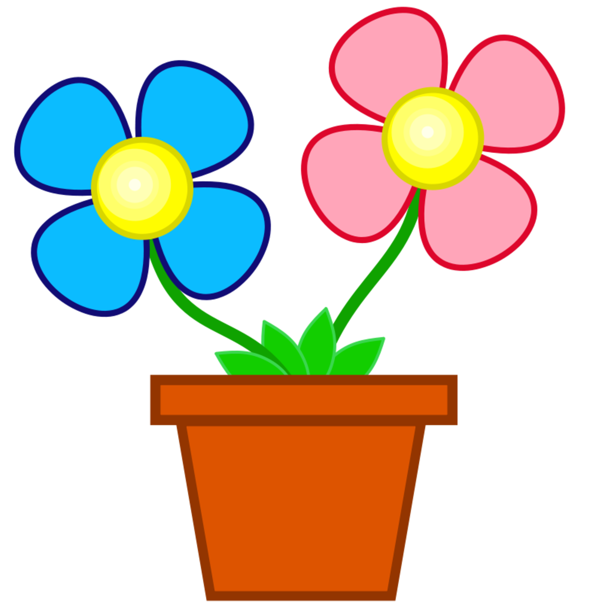 Flowers in a Pot