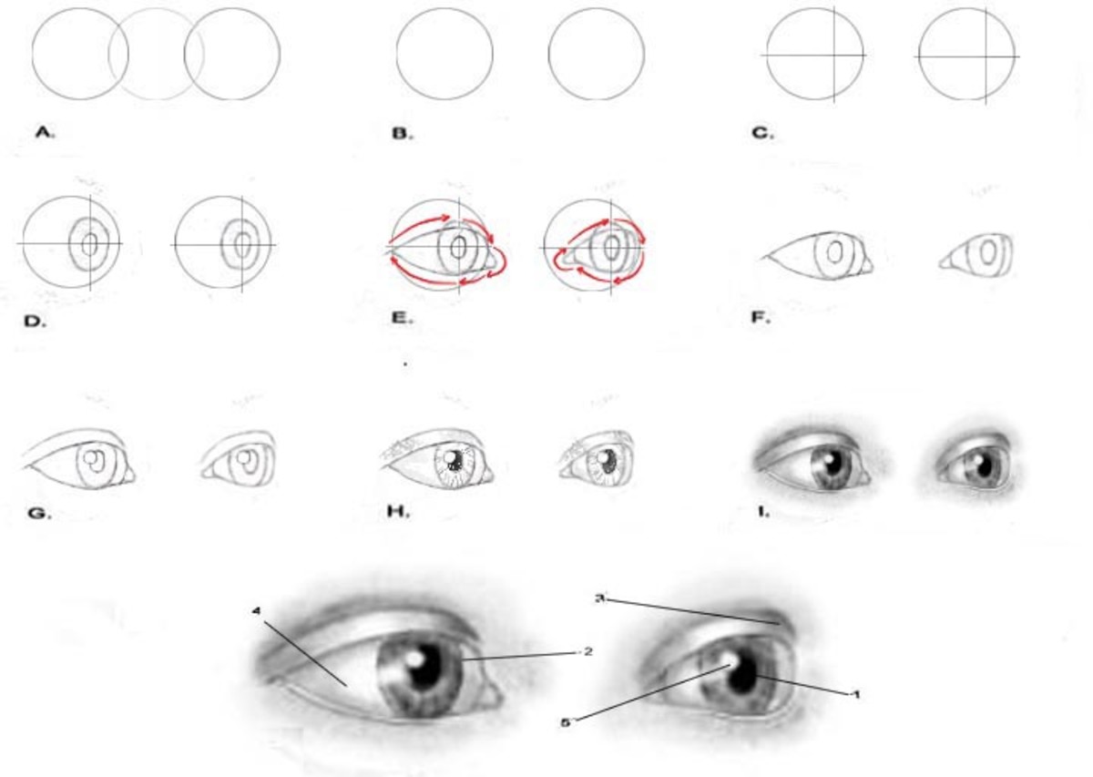 portrait-drawing-for-the-ultimate-beginner-the-eyes