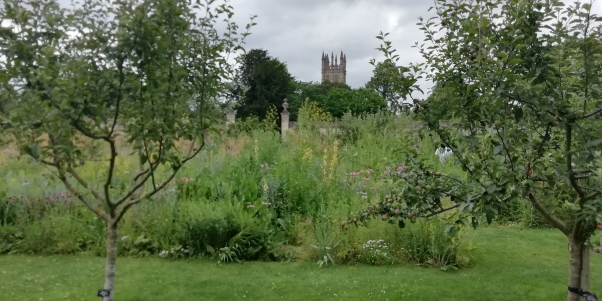 Christ Church Meadow, Oxford