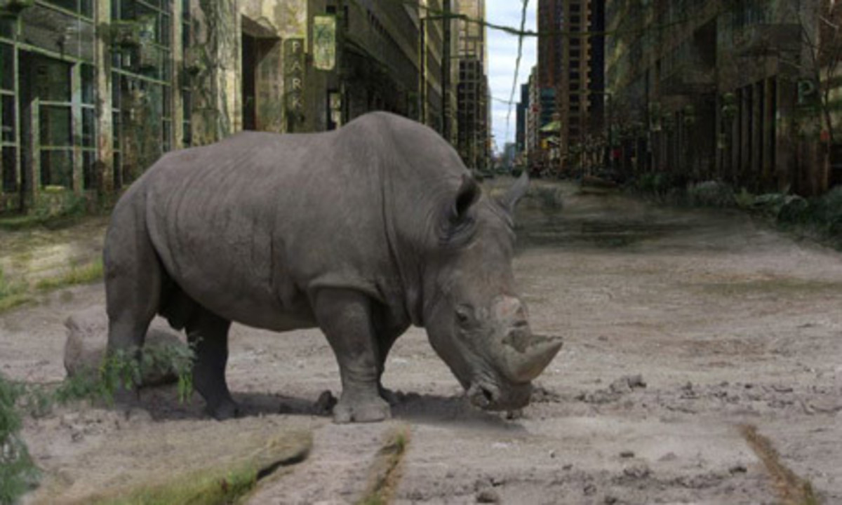 A white rhino attempting to graze in the ruins of New York City