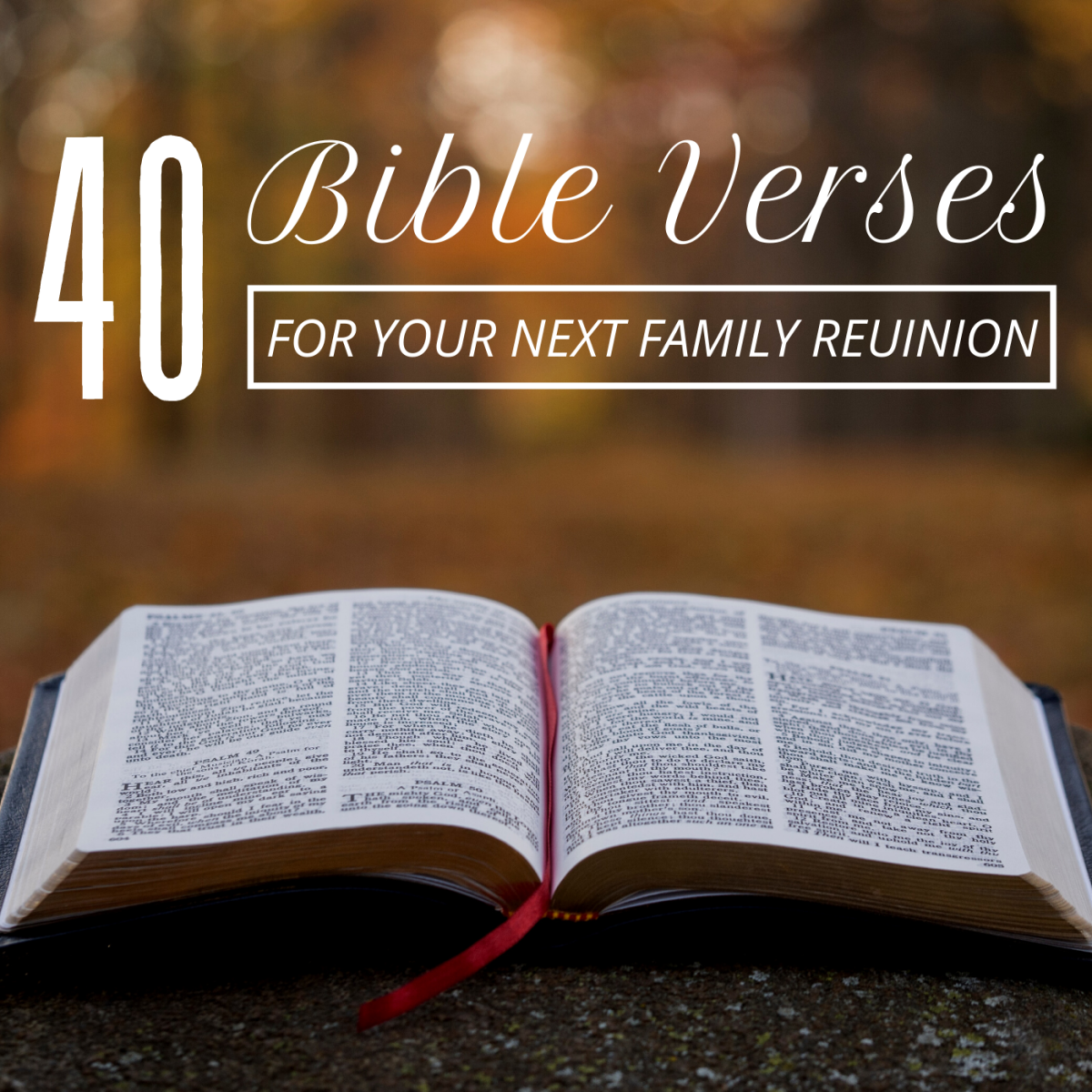 40 Bible Quotes For Your Family Reunion Holidappy