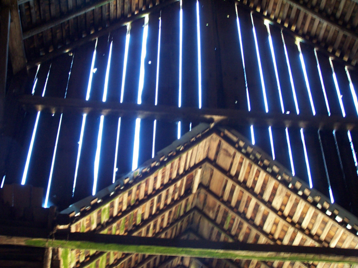 Old Barn Rafters