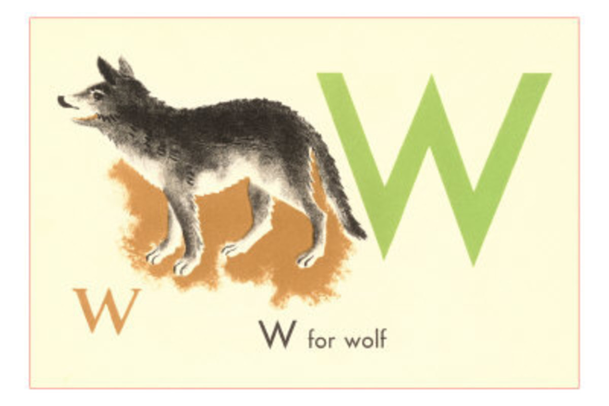 W is for Wolf 