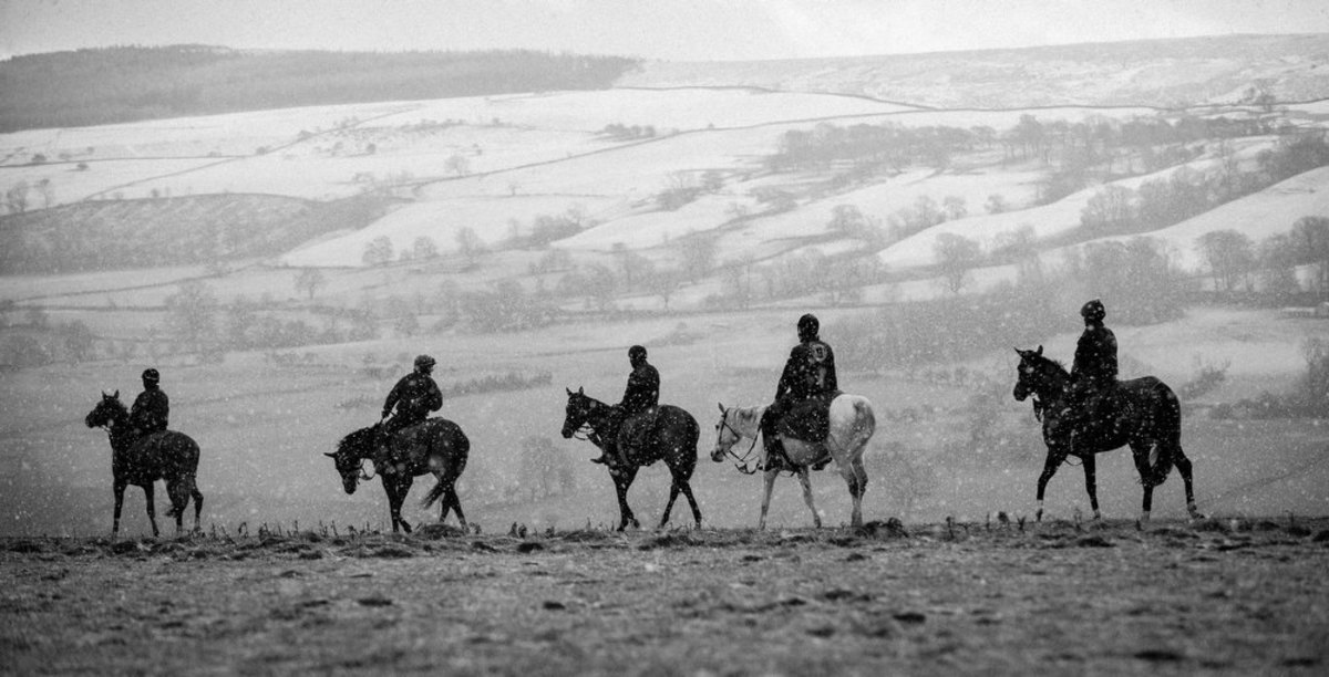 In un-seasonal weather, racehorses are put through their paces on the gallops 