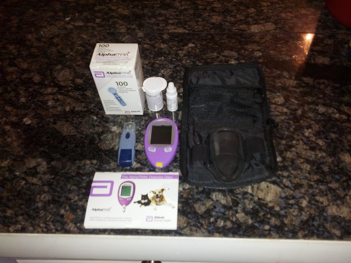 A typical blood glucose testing kit from our veterinarian. From left to right, it includes lancers (to prick for blood), testing strips, control solution, equipment case, lancing device, monitor, and glucose test log.