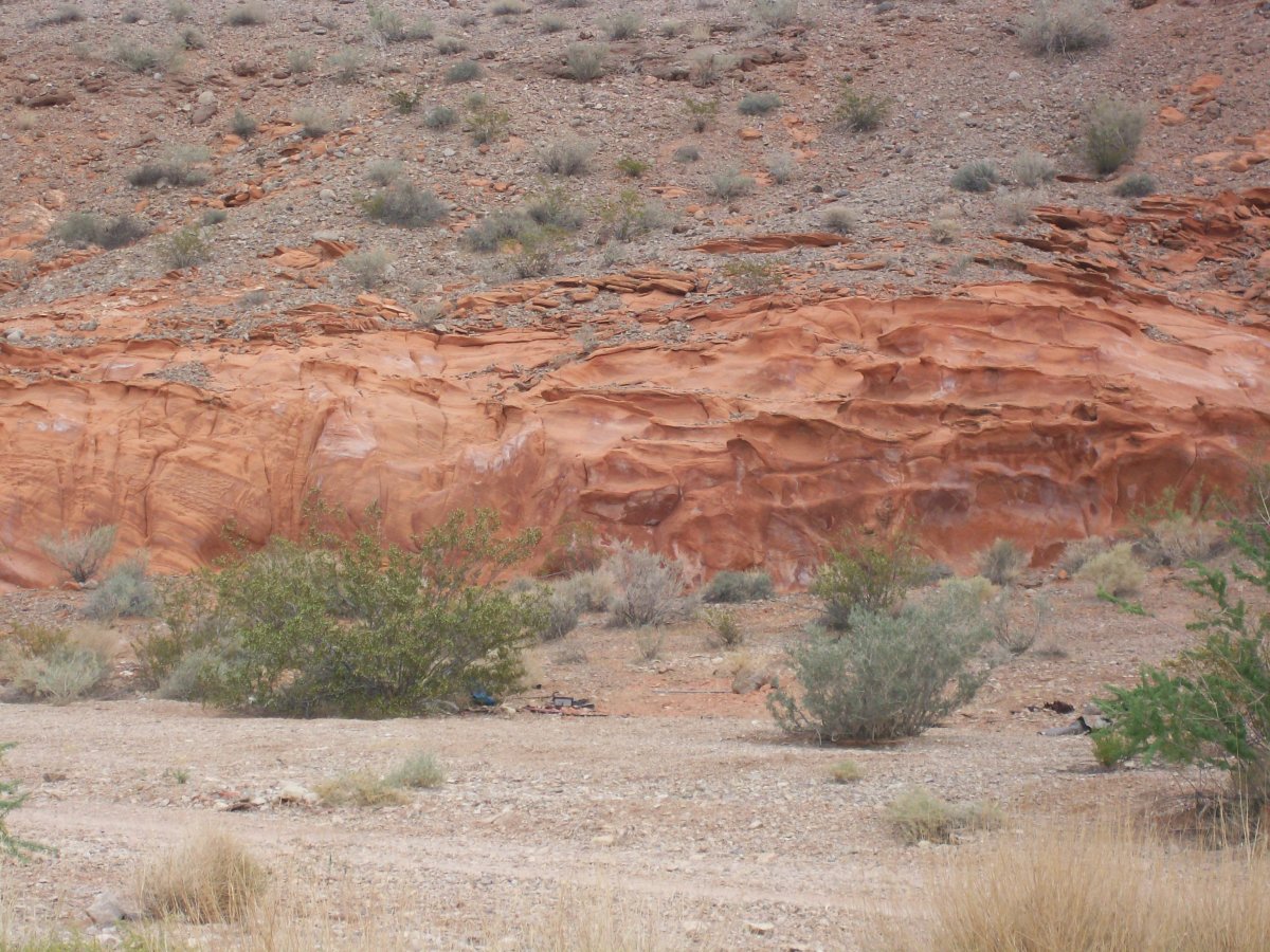 Fossil Hunting In Las Vegas HubPages