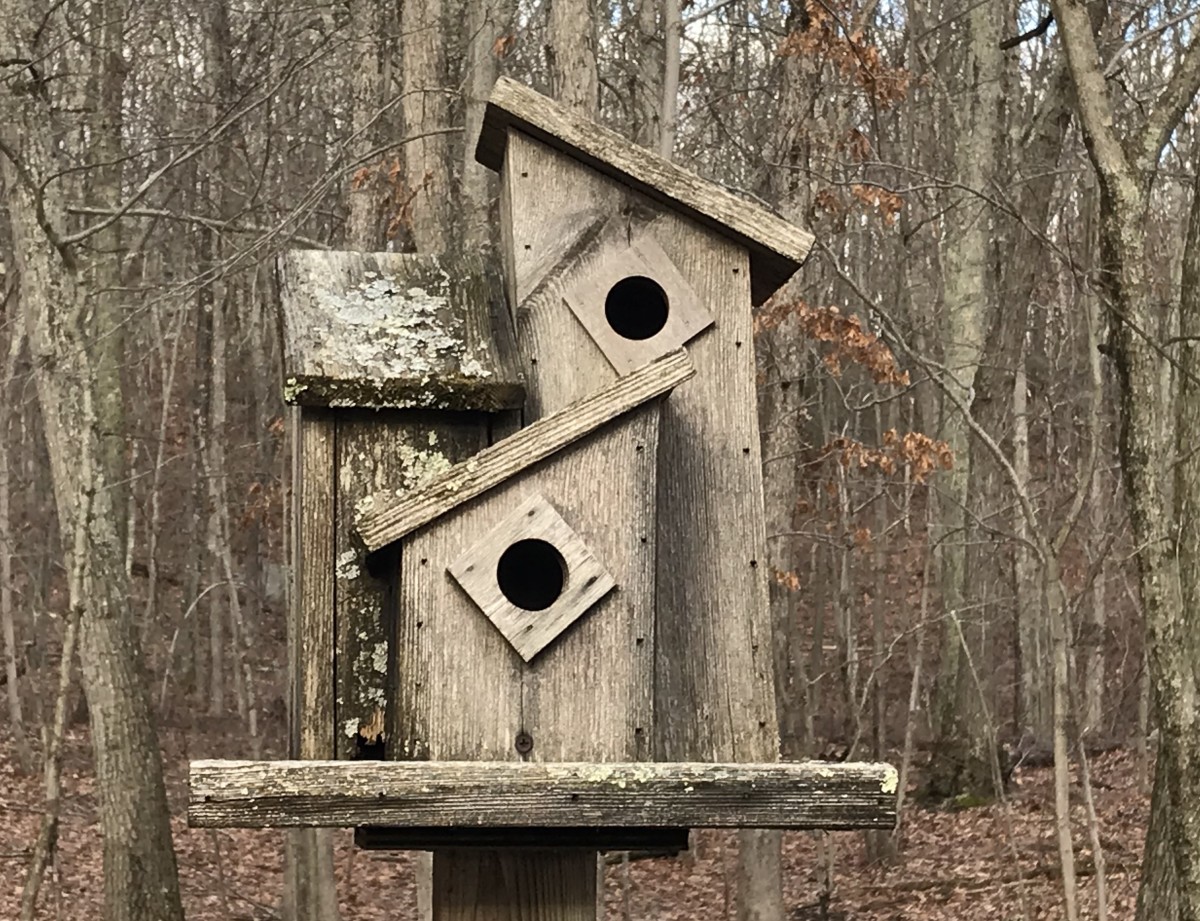 After many years in the harsh New England weather, the old birdhouse has seen better days.