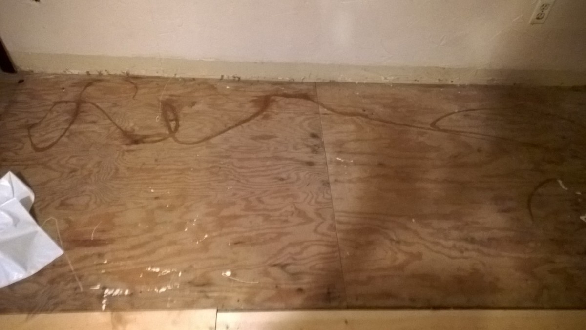 I started out with this strip of plywood floor. 