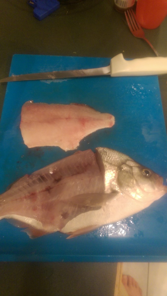 Delicious fillets!  Red-tailed surf perch about to be turned Into some fish tacos