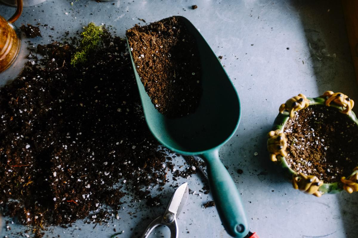 A list of things to add to old compost so you can reuse it. 