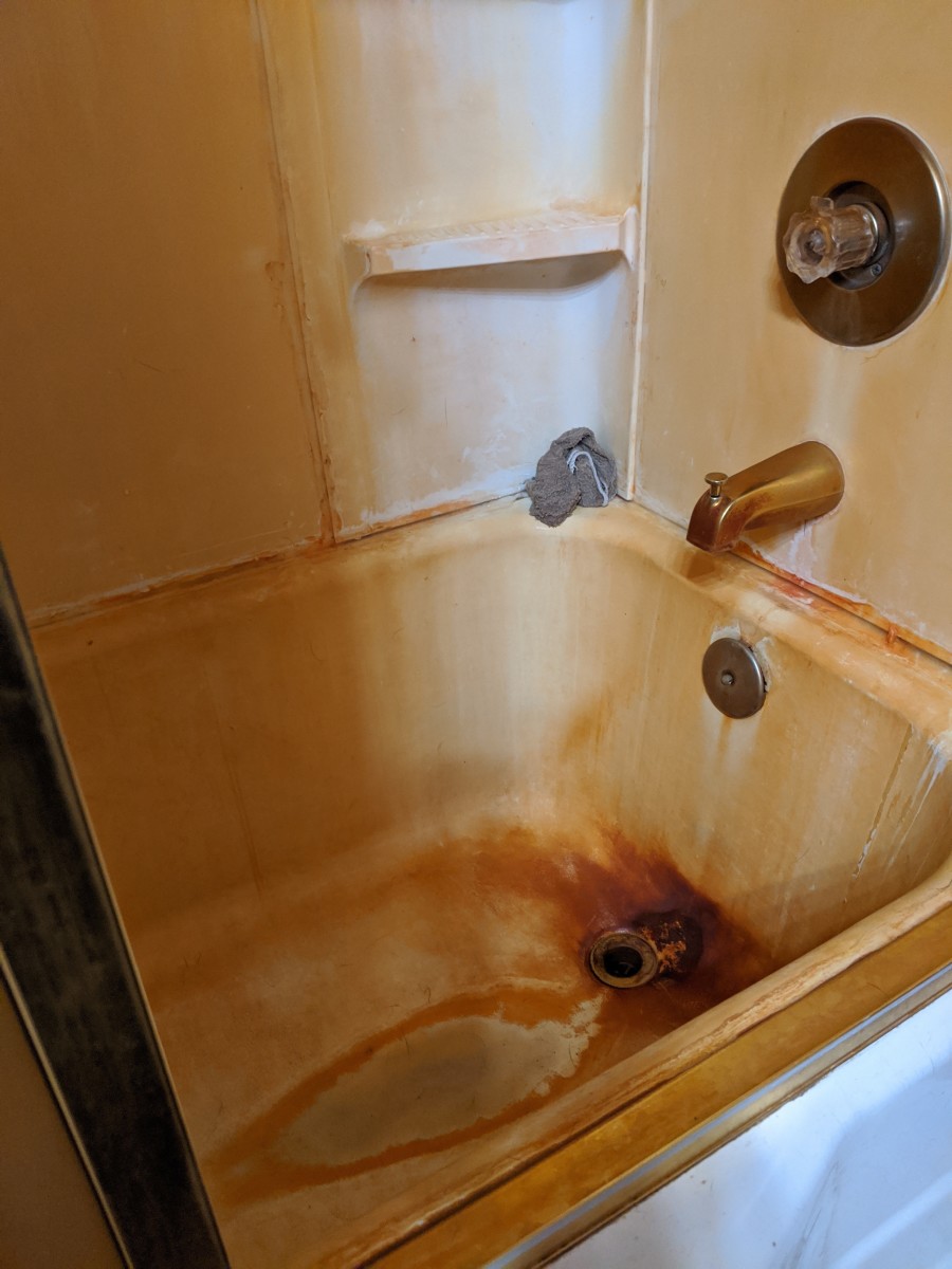 Neutering the Labrador Retriever HubPages