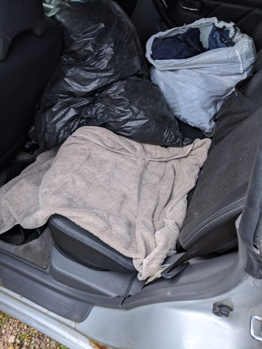 Neutering the Labrador Retriever HubPages