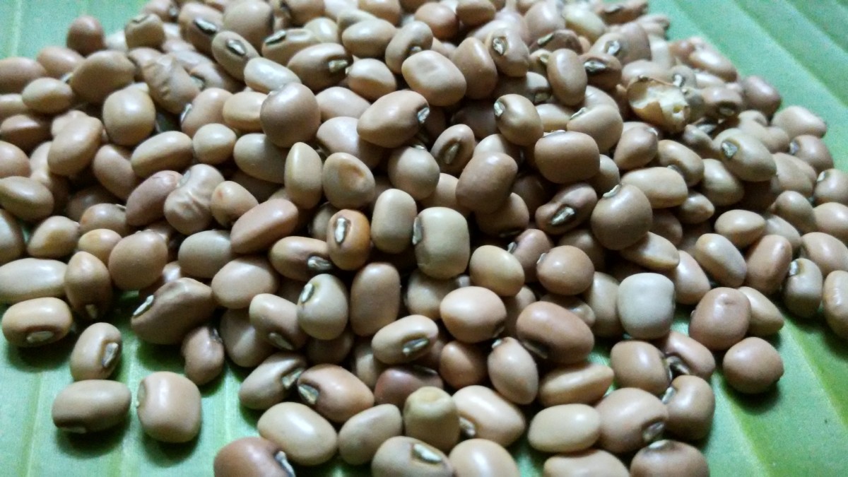 Black-eyed pea beans/seeds
