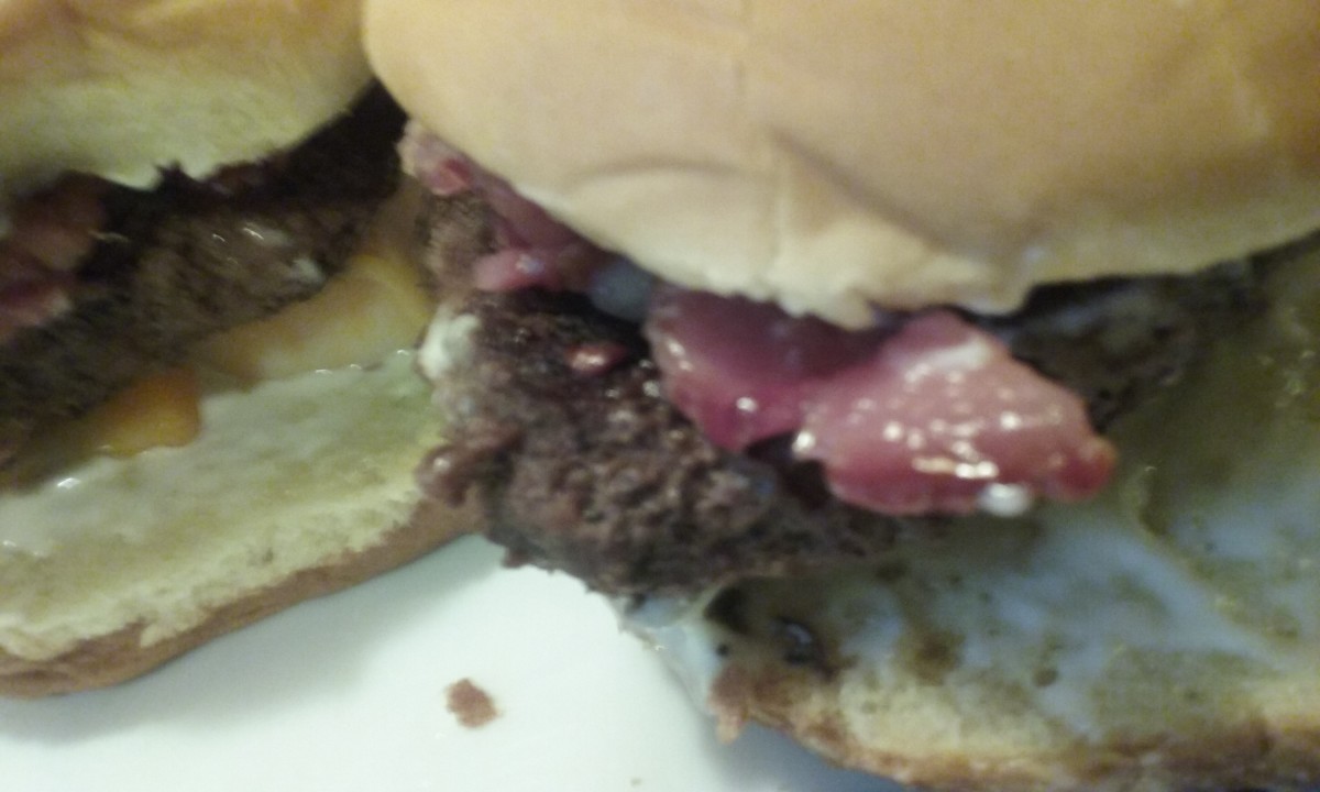 Philly gourmet burgers product review