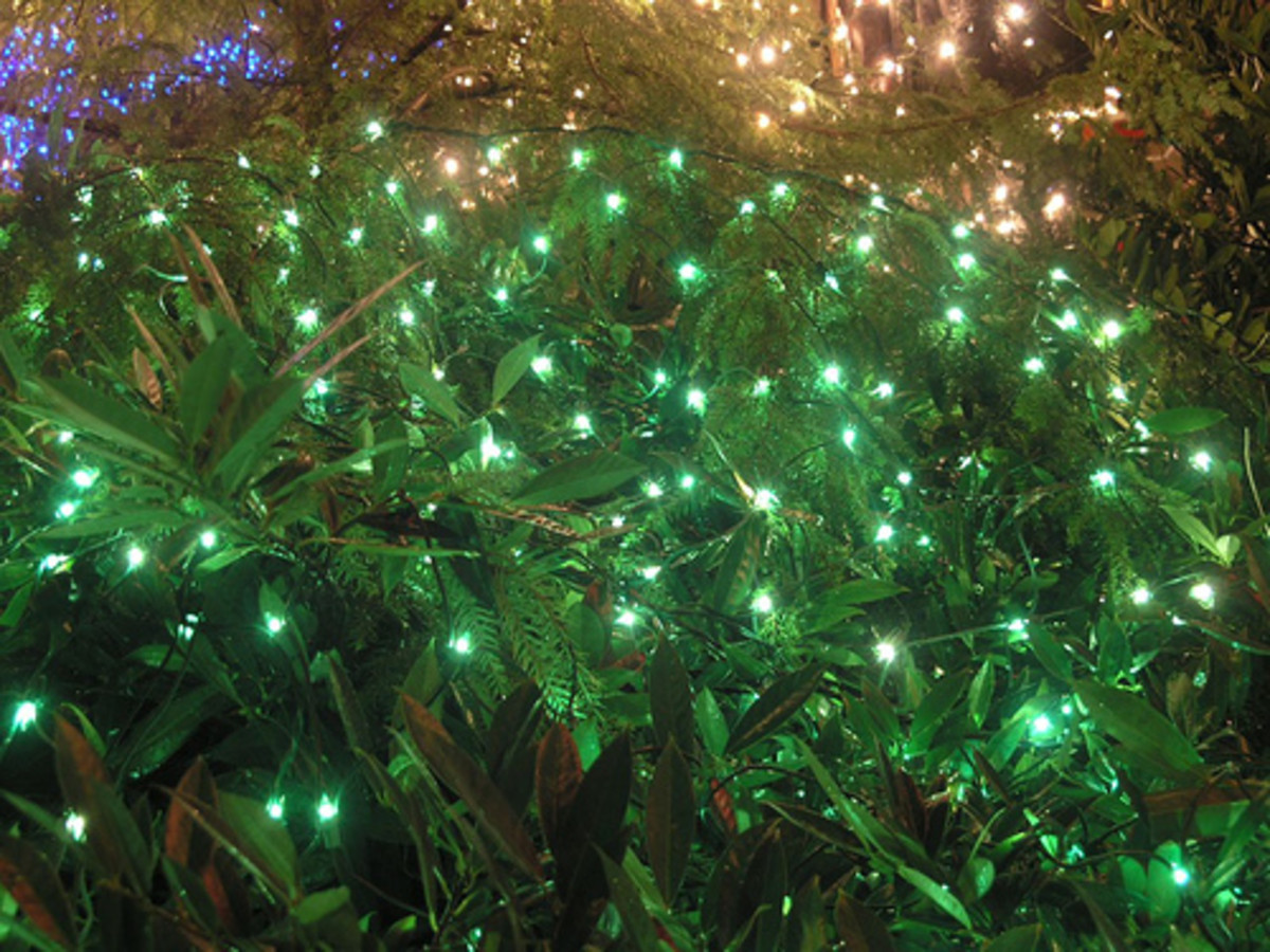 greenchristmaslights