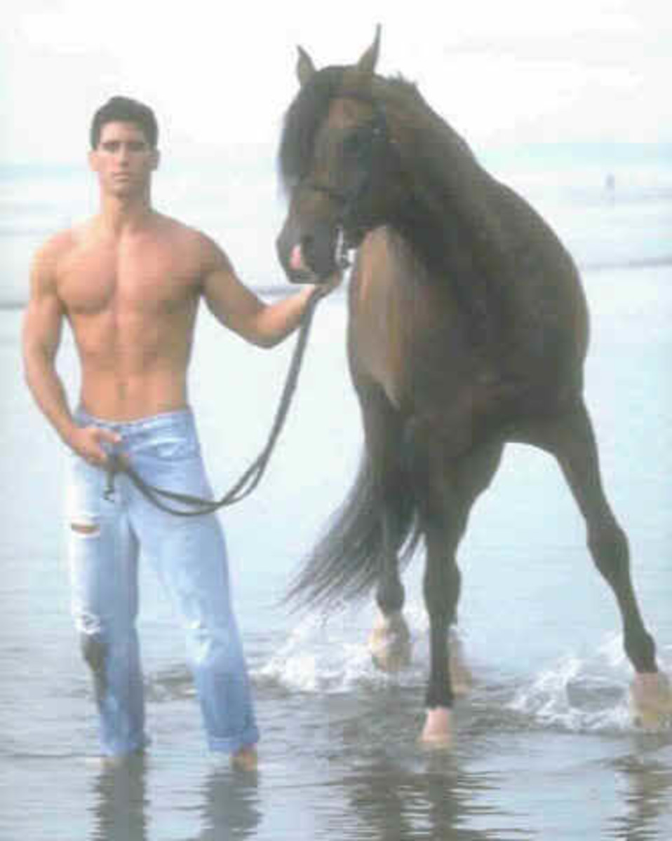 A handsome guy with his horse walking on the shoreline.