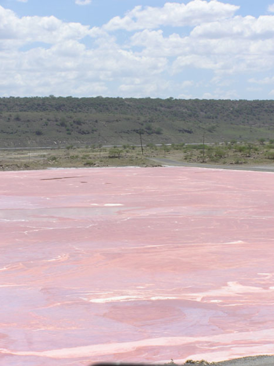 10 Pink Lakes From Around the World - WorldAtlas