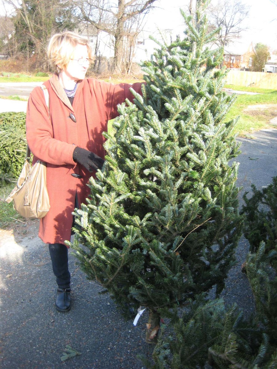 How to Choose, Store, and Decorate A Live Cut Christmas Tree - HubPages