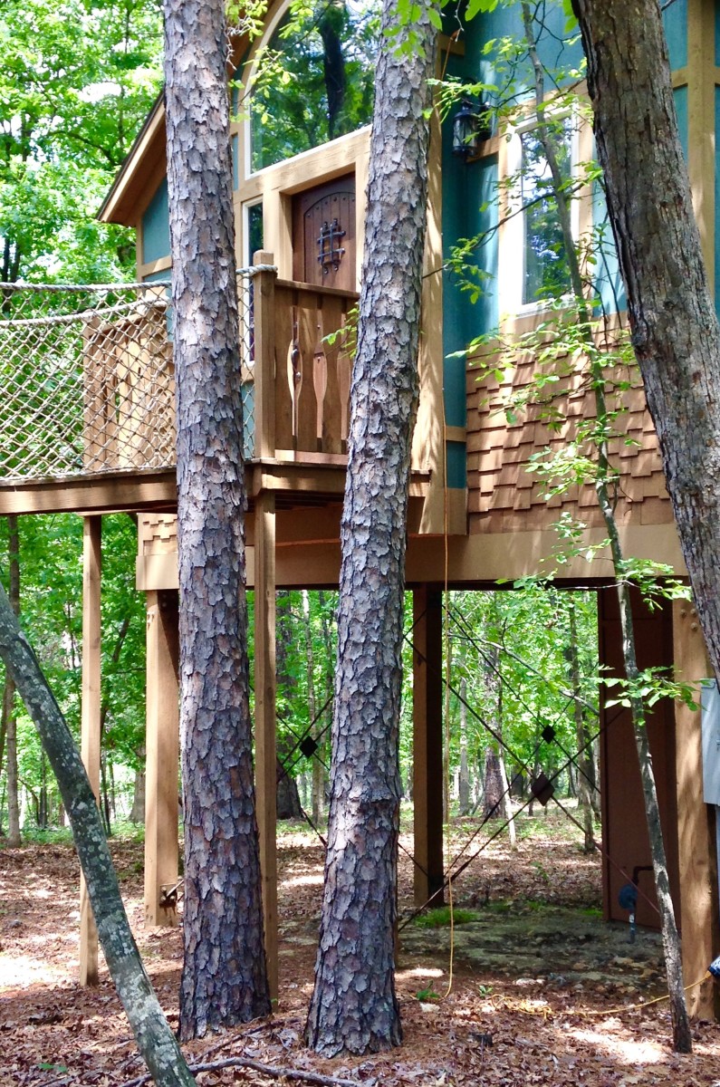 Stay the night in a treehouse!