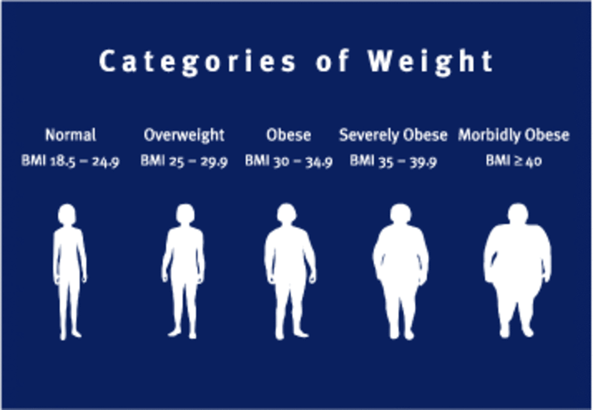 blue and white poster showcasing categories of weight