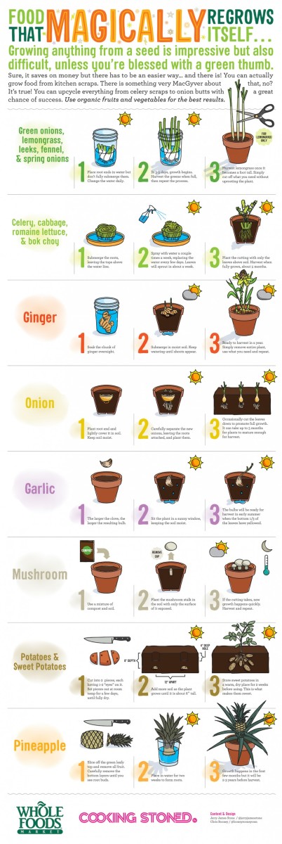 Easy way to grow vegetables from kitchen scraps! 