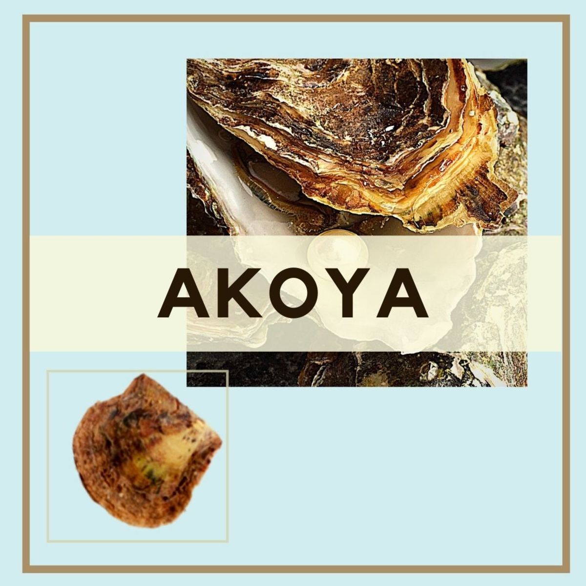 Akoya pearls are higher in quality than freshwater pearls but often slightly lower in quality than Tahitian or South Sea pearls. 