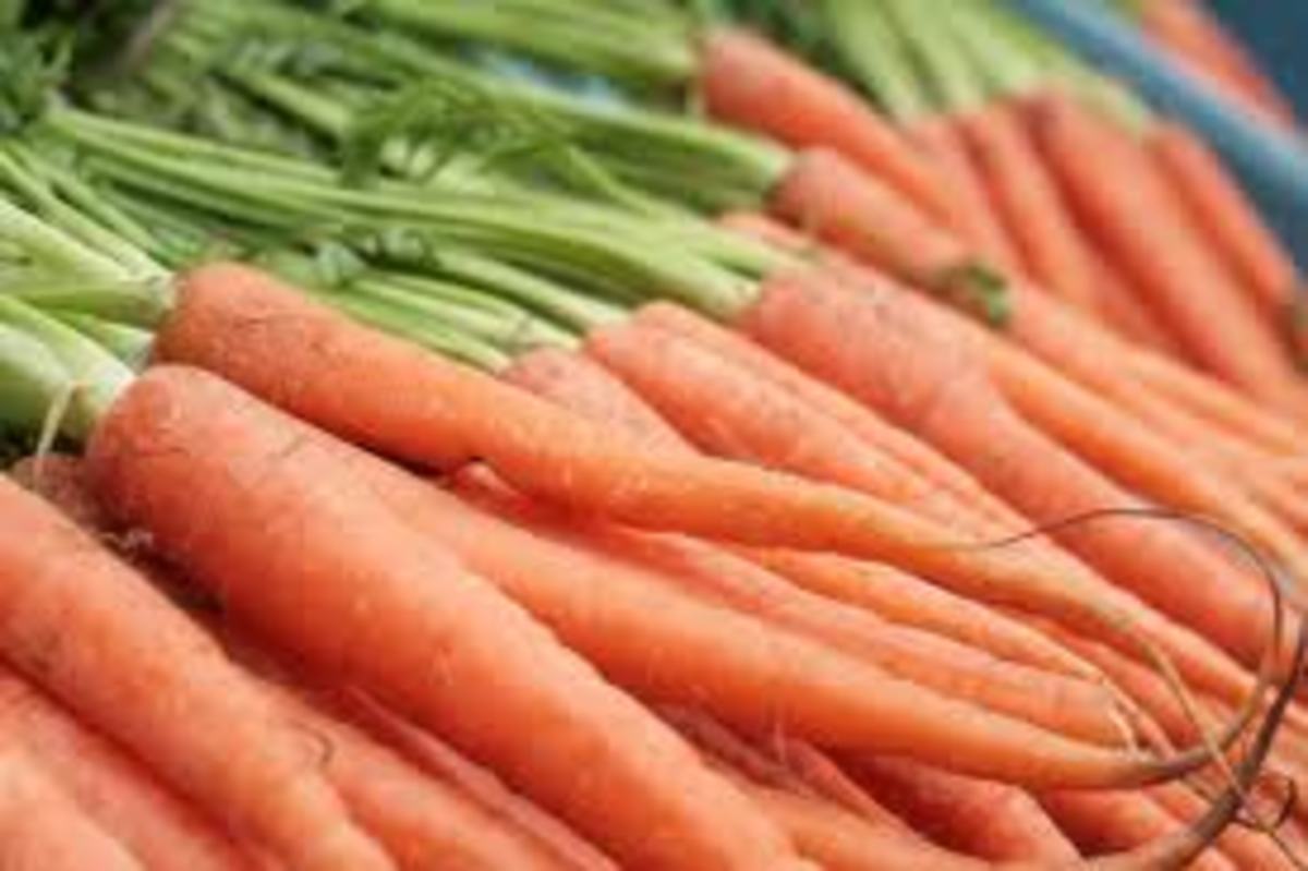 Carrots are a good source of Vitamin A.