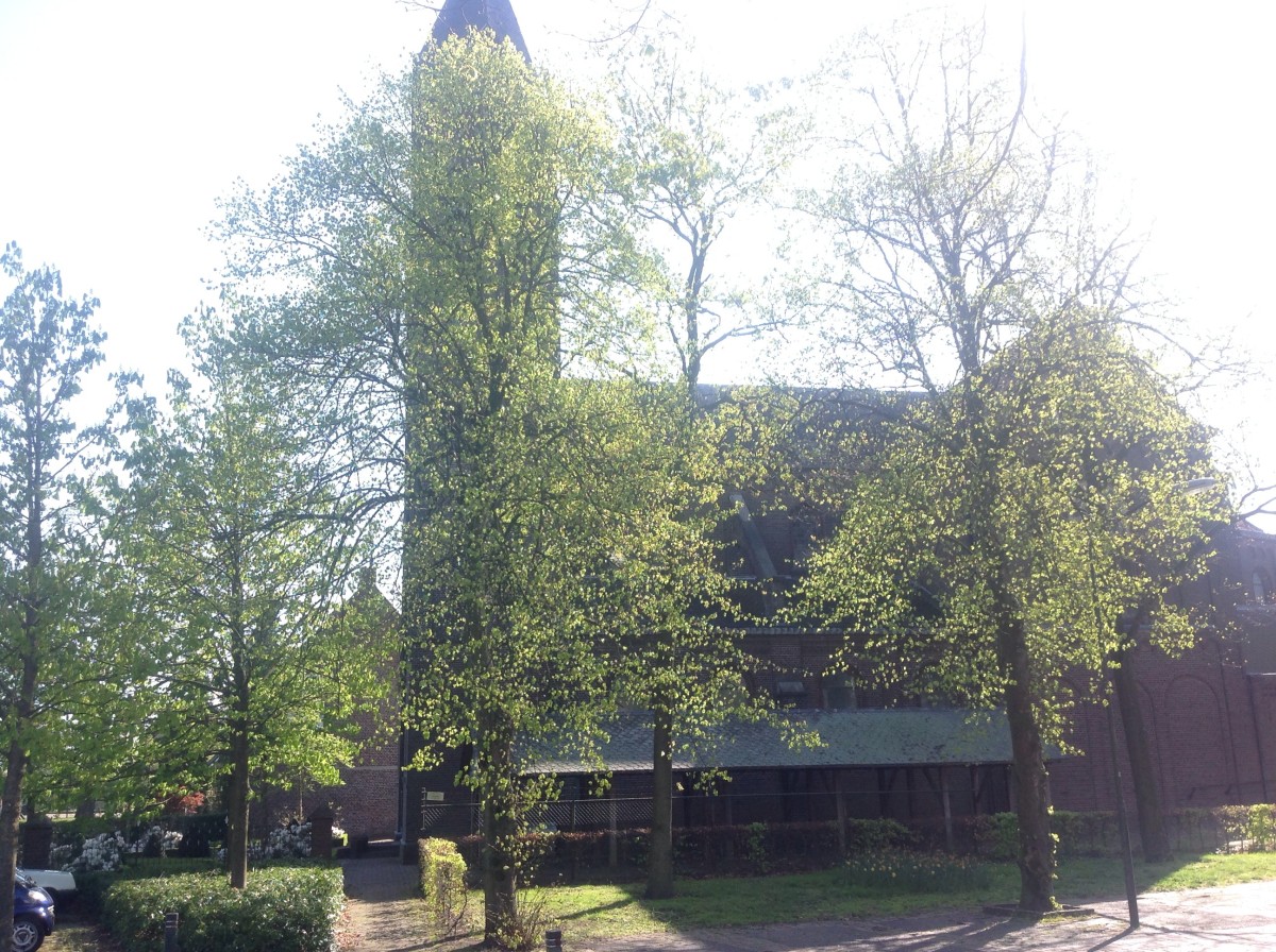 Church: Small Dutch Country Village