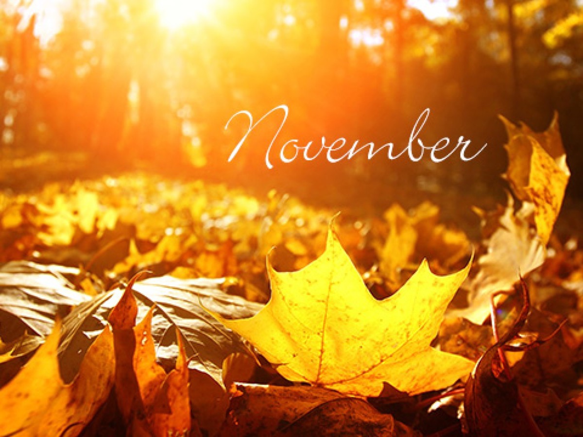 november-interesting-things-about-the-month-including-what-to-buy-and-what-not-to-buy