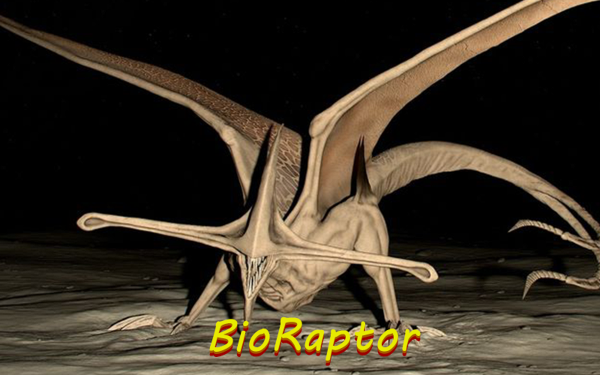 BioRaptors are an aggressive form of alien known to inhabit the planet M6-117