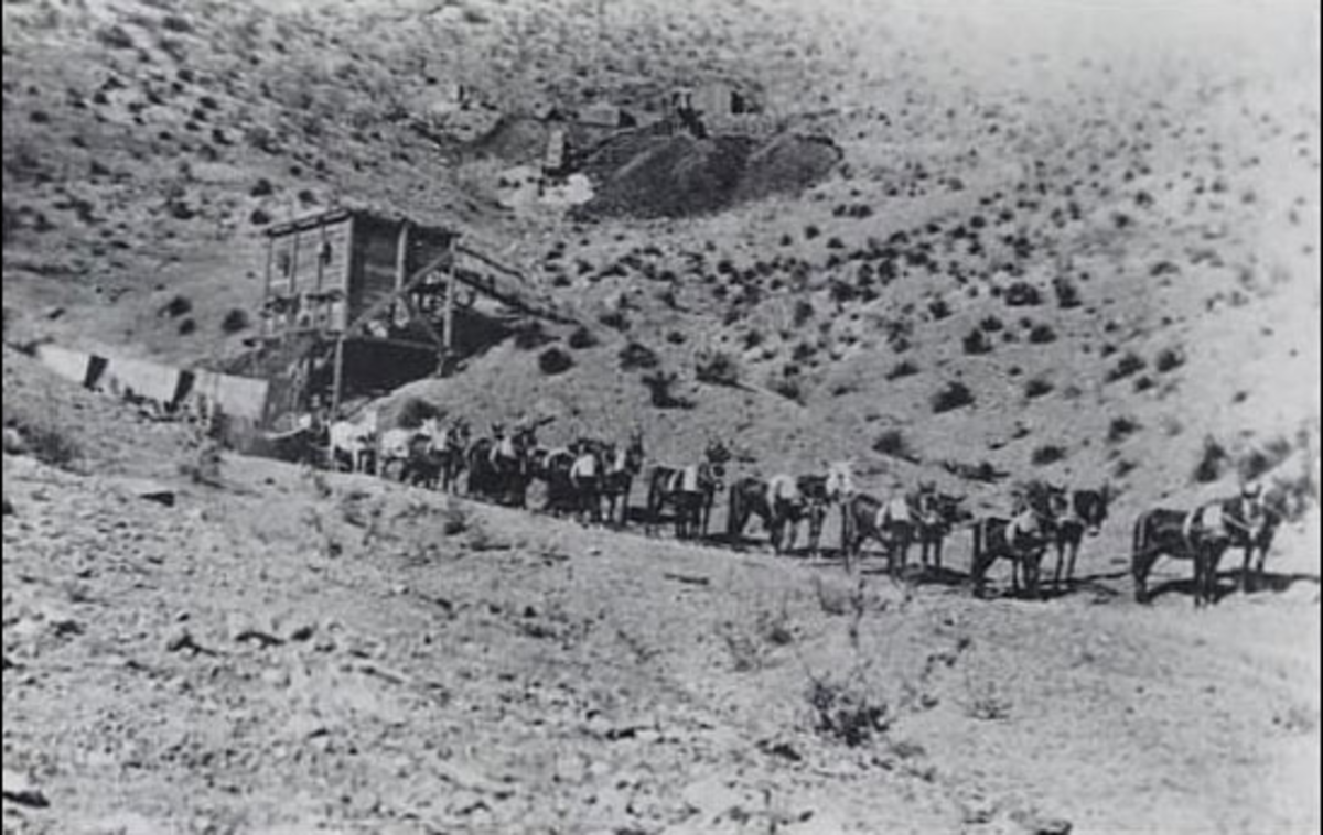 Mule train hauling silver ore