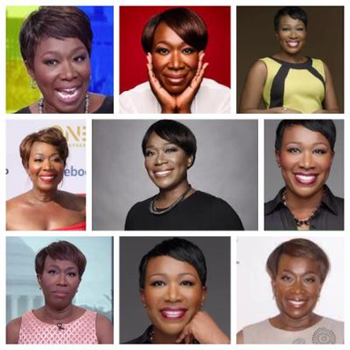 Joy Reid Interesting Things About the Political Host ReelRundown