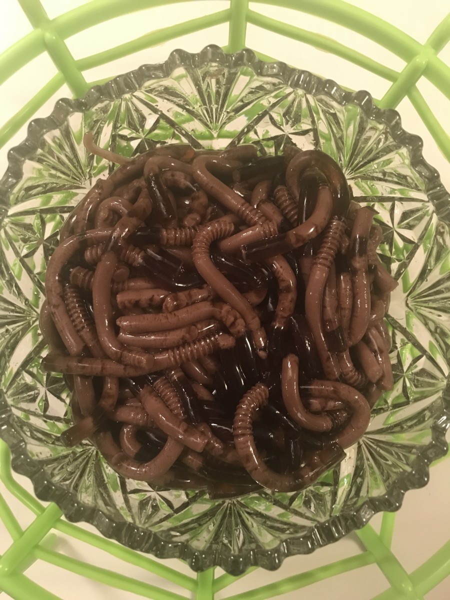 halloween-party-foods-how-to-make-jello-shot-worms-with-vodka