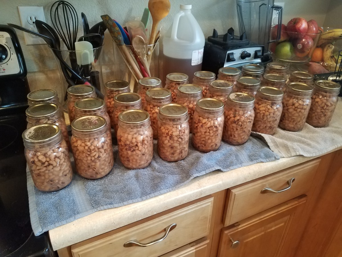 Pressure-Canning Your Own Black-Eyed Peas