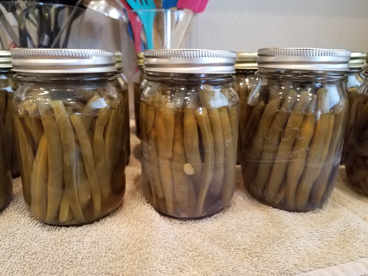 Pressure Canning Green Beans