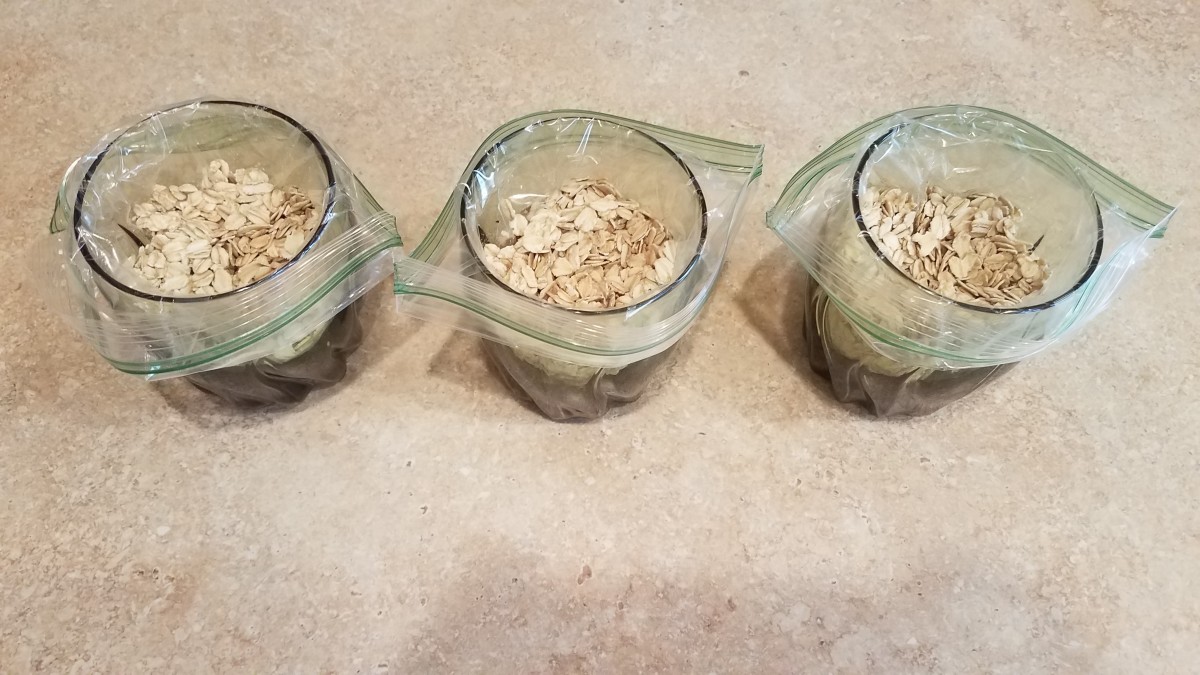 making-your-own-instant-oatmeal-packets