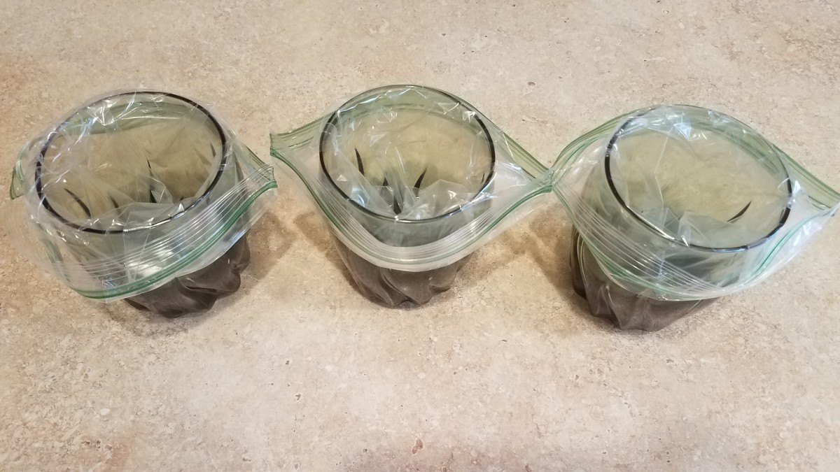 By putting a bag in each glass and wrapping it over the top, I found I could fill each bag without them falling over or spilling.