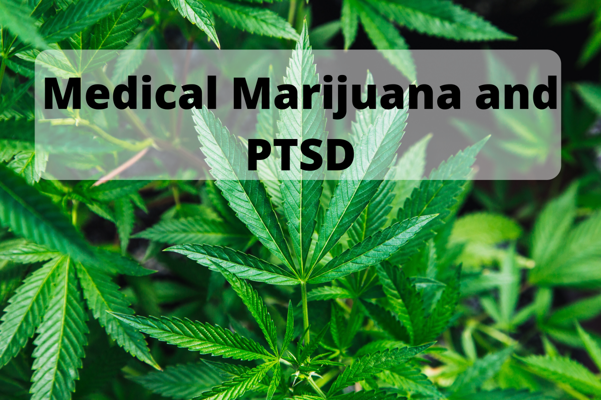 One More Time Just to Kill the Pain: On Medical Marijuana and Post Stress Disorder