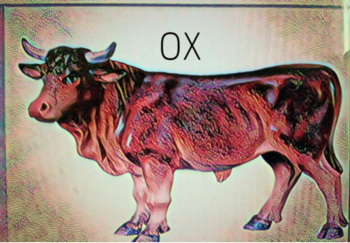 The ox is slow and steady, bullish, and metal is strong and flexiable.