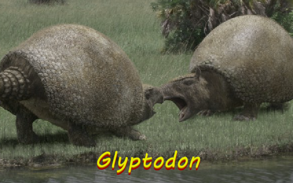 Can you imagine if armadillos of today were still the size of their oldest relative, the Volkswagon-sized Glyptodon?