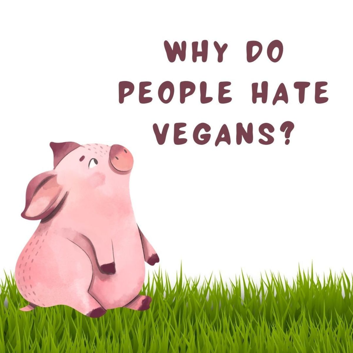 3 Reasons Why People Hate Vegans