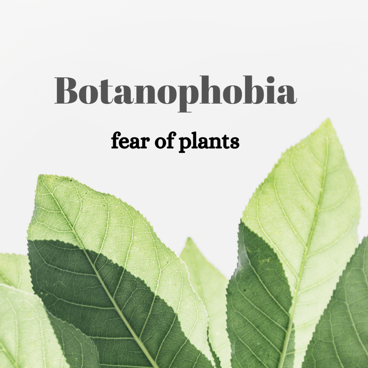 Botanophobia, a fear of plants