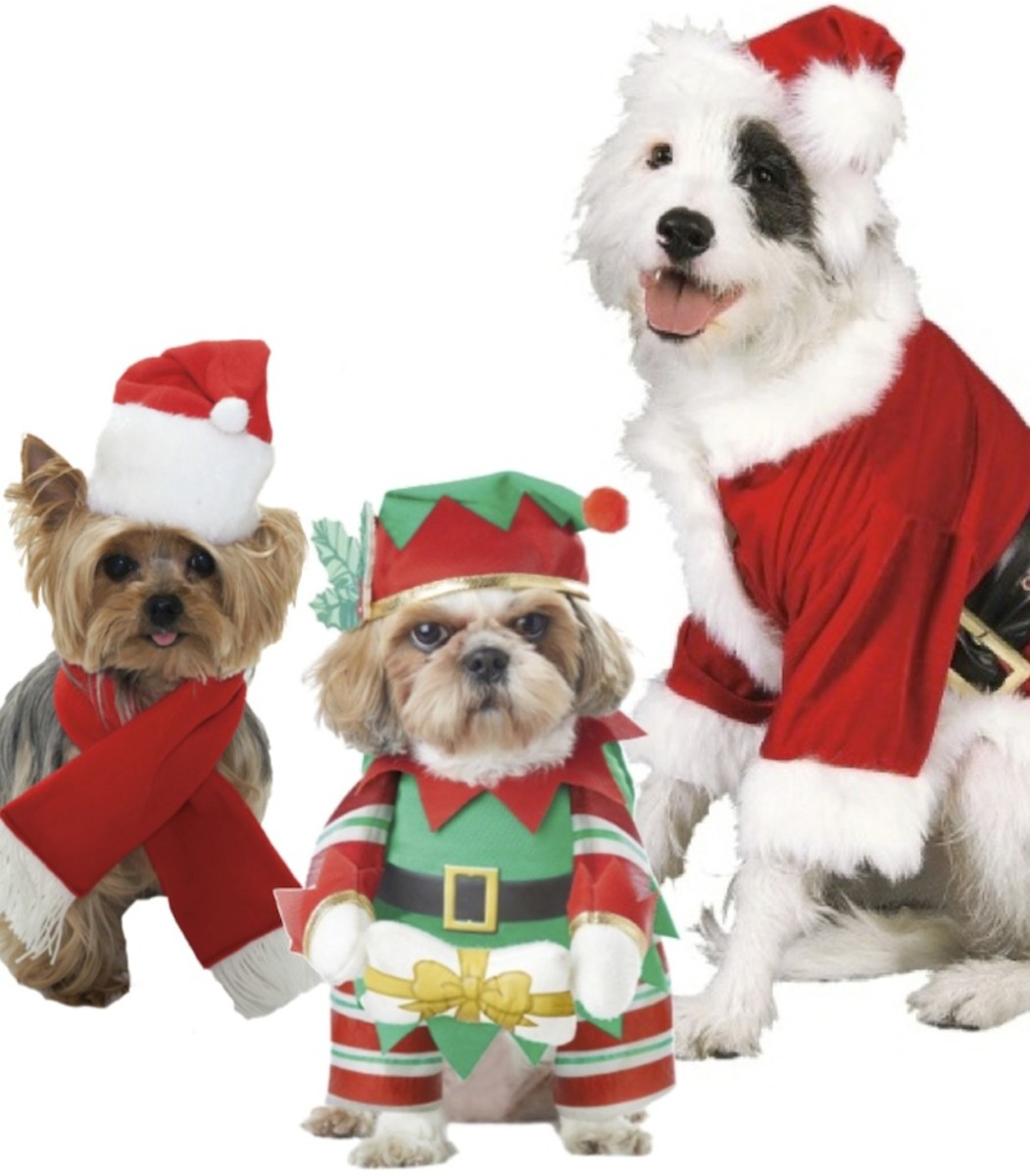 dog-christmas-decorations
